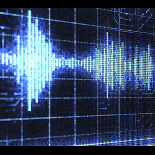 Audio-Emotional Analysis of Customer Feedback